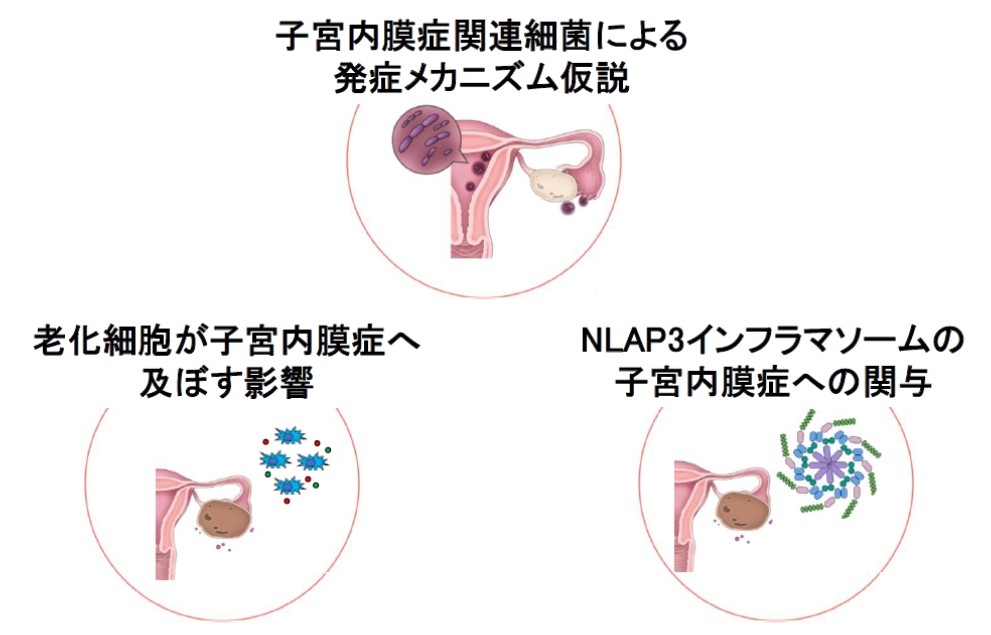 obstetrics-gynecology_project10.jpg