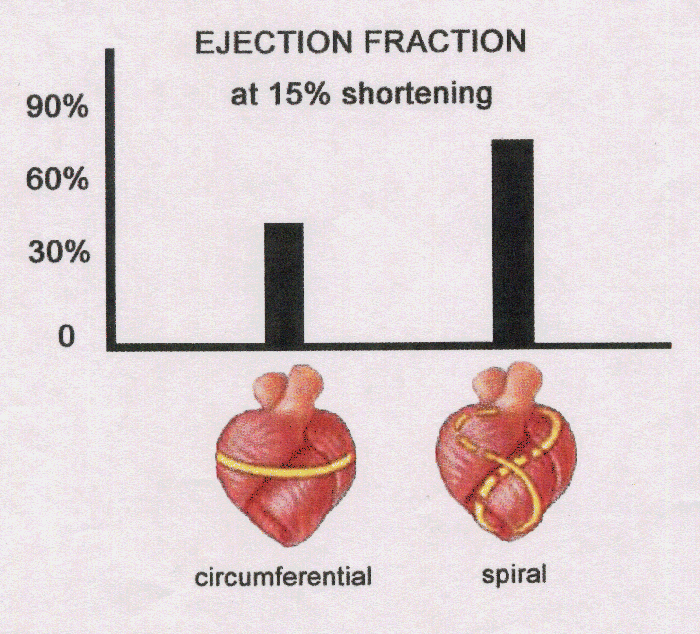 shinzougeka6.png