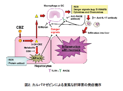 toxicogenomics_project2.jpg