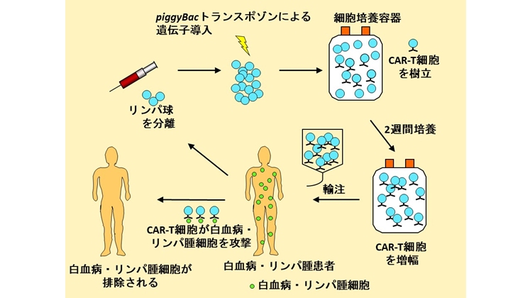 バナー画像（16：9）.png