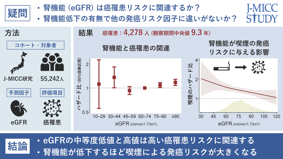 腎機能と癌リスクの関連及び、腎機能が他の発癌リスク因子に及ぼす影響 〜腎機能が低下するほど喫煙の発癌リスクが上昇することを発見〜