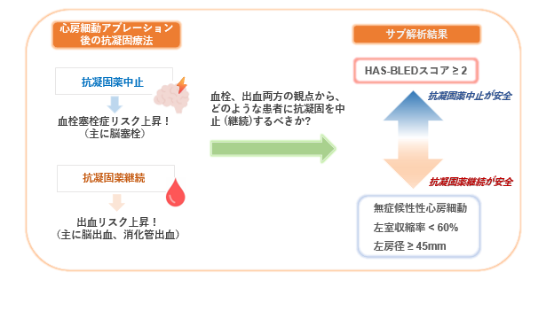 心房細動アブレーション成功後の抗凝固療法中止の安全性と有効性評価 ～患者さん一人ひとりの特徴に基づいた抗凝固薬治療の最適化を目指して～