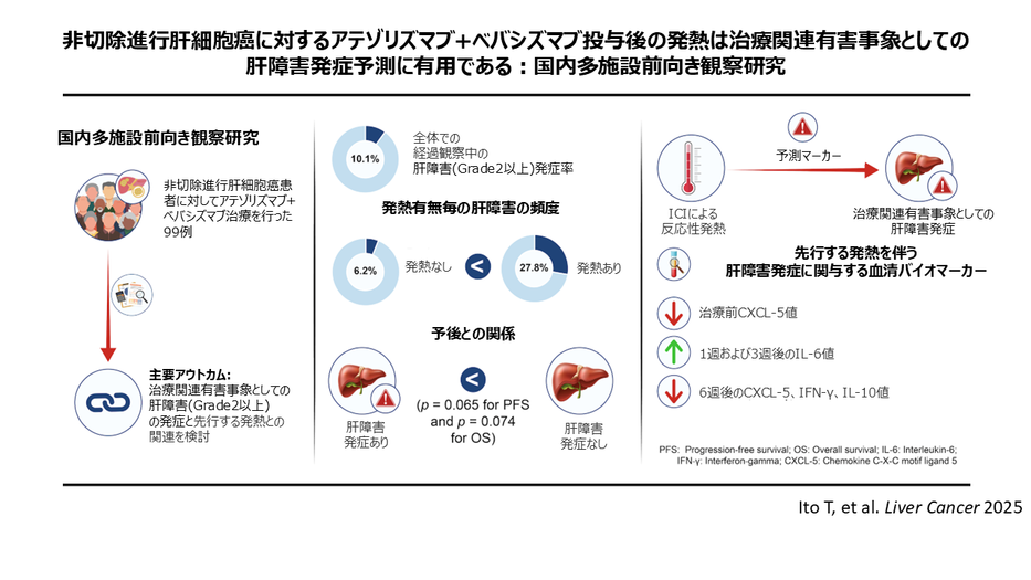 非切除進行肝細胞癌患者における免疫チェックポイント 阻害薬による肝障害発症の予兆が明らかに！ ～アテゾリズマブ＋ベバシズマブ併用療法における 副作用予測マーカーとしての発熱と液性因子の役割～