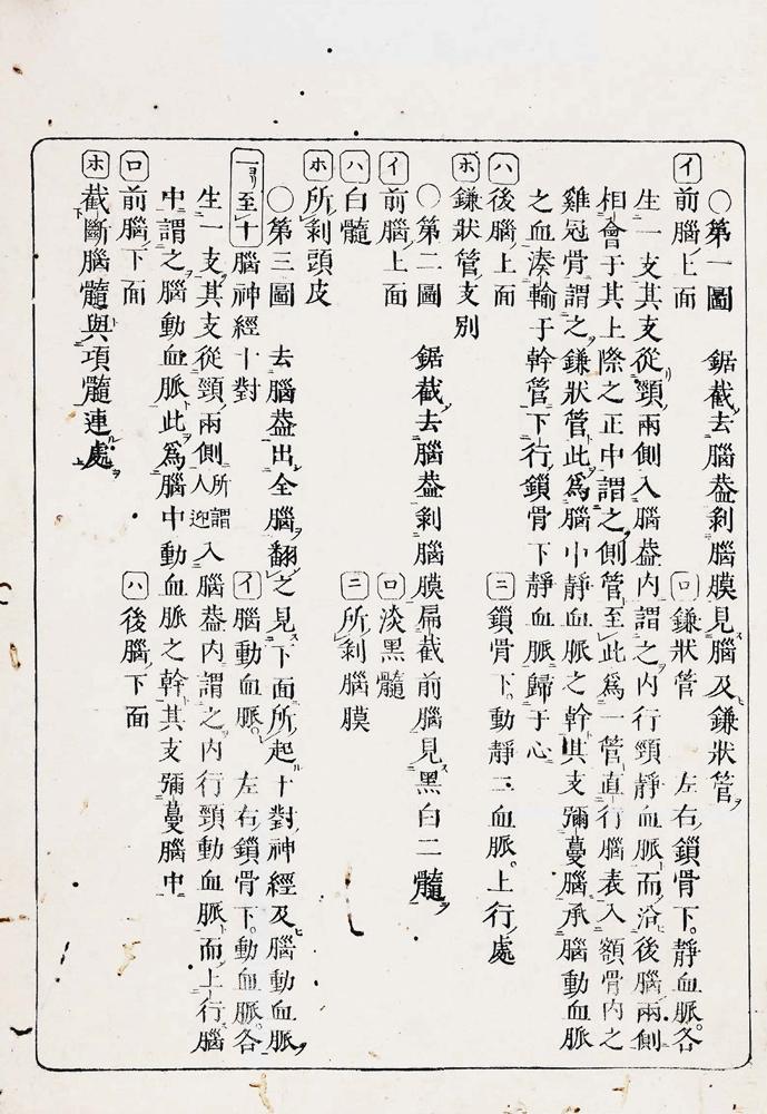 宇田川榛齋 『醫範提綱内象銅版圖』 画像5