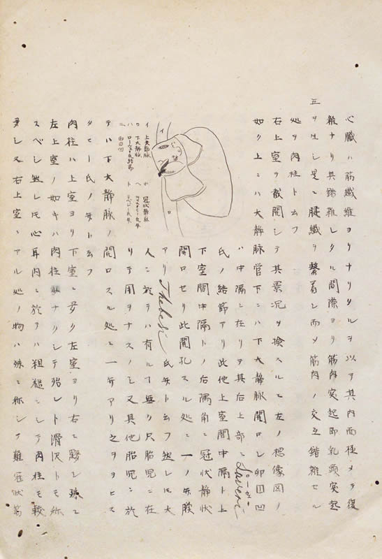 瀧浪図南　『組織学　第二』 画像9