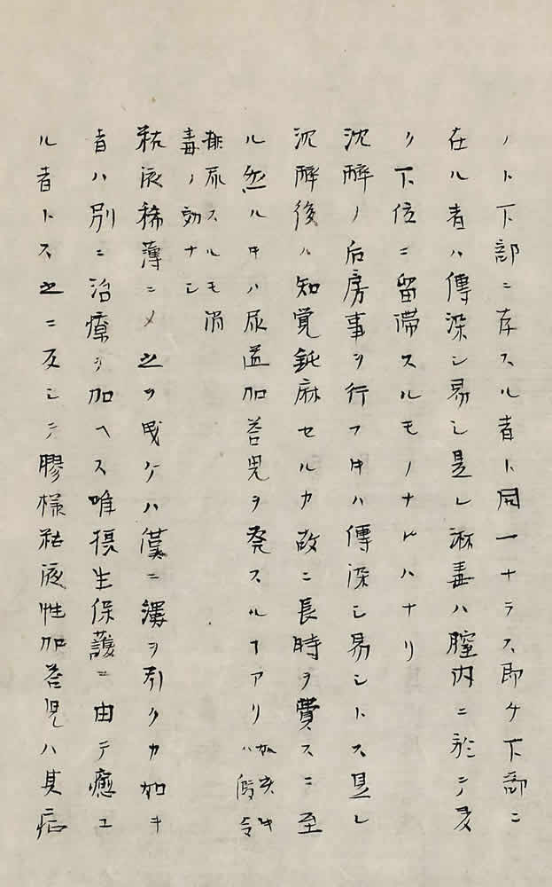 老烈講述 ; 朝山義六口譯 『黴毒學』画像8