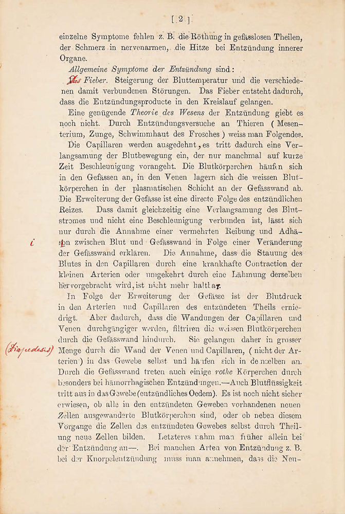 SCHULTZE 