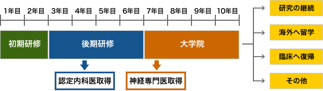 基本的なキャリアパス