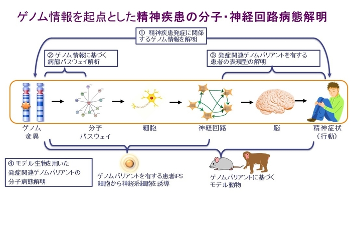 精神科①.jpgのサムネイル画像