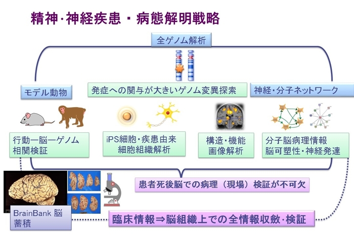 精神科④.jpgのサムネイル画像