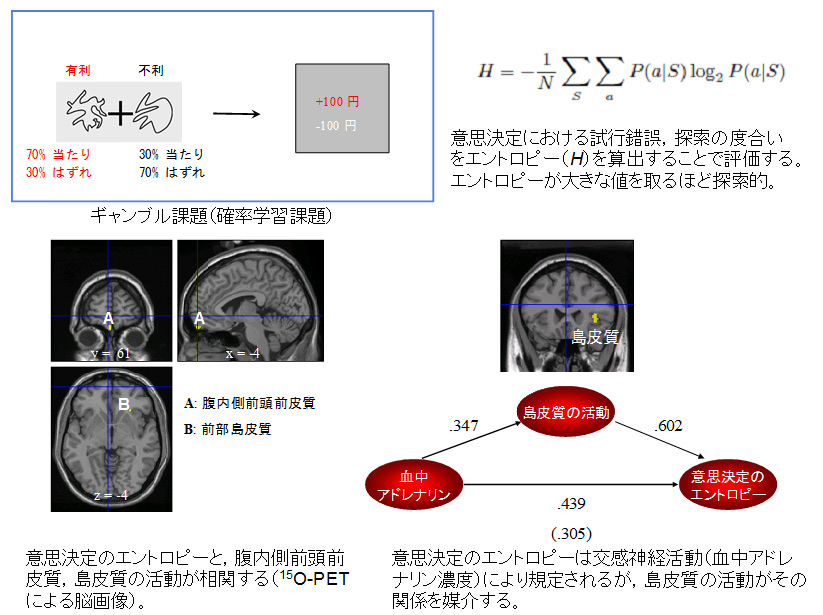 感情的意思決定を担う脳と身体のメカニズム