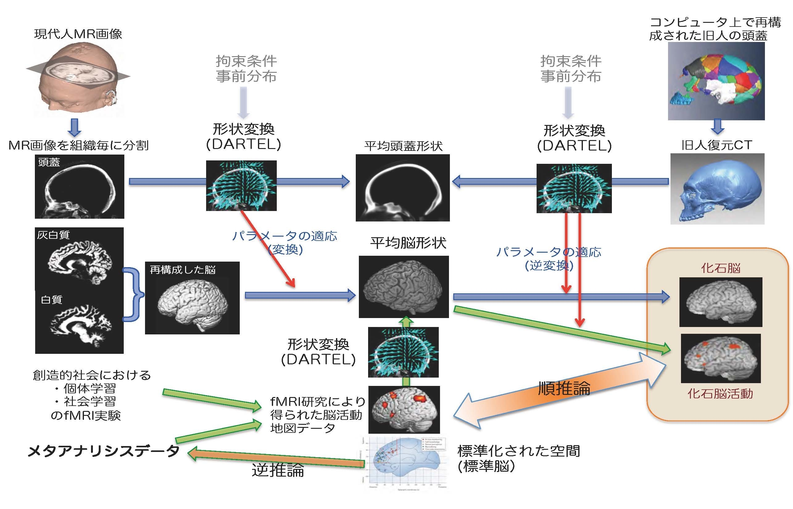 情報学研究科 名古屋大学 脳とこころの研究センター