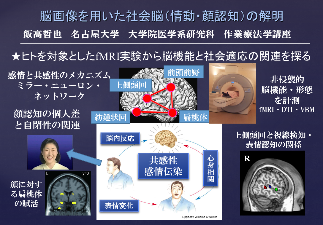 社会脳と扁桃体の神経画像研究