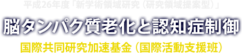 新学術領域研究（研究領域提案型） 脳タンパク質老化と認知症制御 国際活動支援班