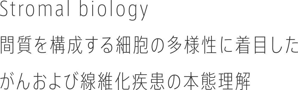 Stromal biology間質を構成する細胞の多様性に着目したがんおよび線維化疾患の本態理解