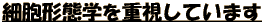 זE`ԊwdĂ܂