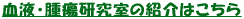 tEᇌ̏Љ͂