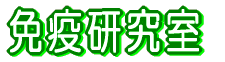 tEᇌ  