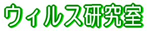 tEᇌ  