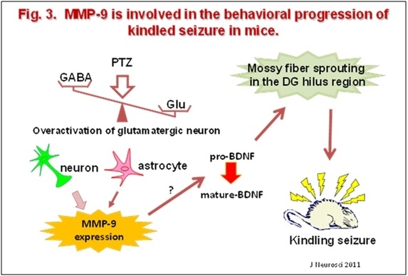 fig3.jpg