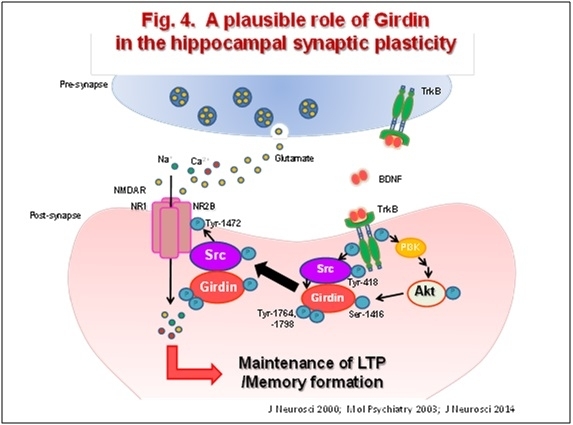 fig4.jpg