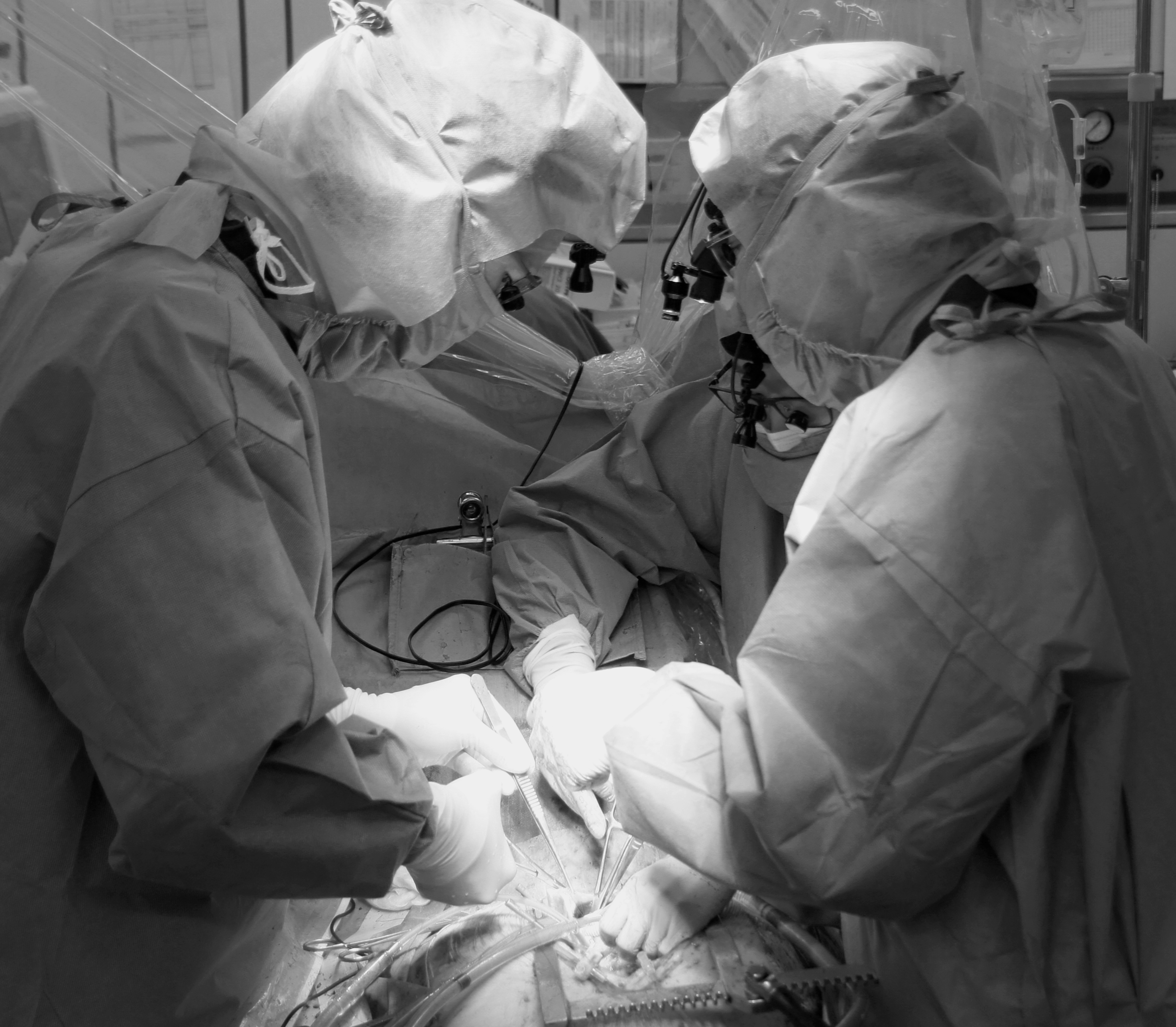 ASDカテーテル閉鎖術中の経食道心エコーとfusion imaging | 名古屋大学