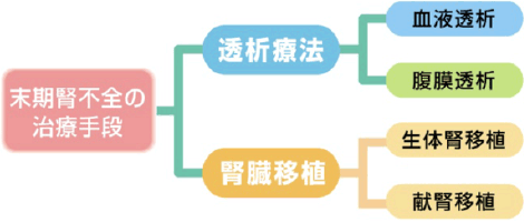 末期腎不全の治療手段